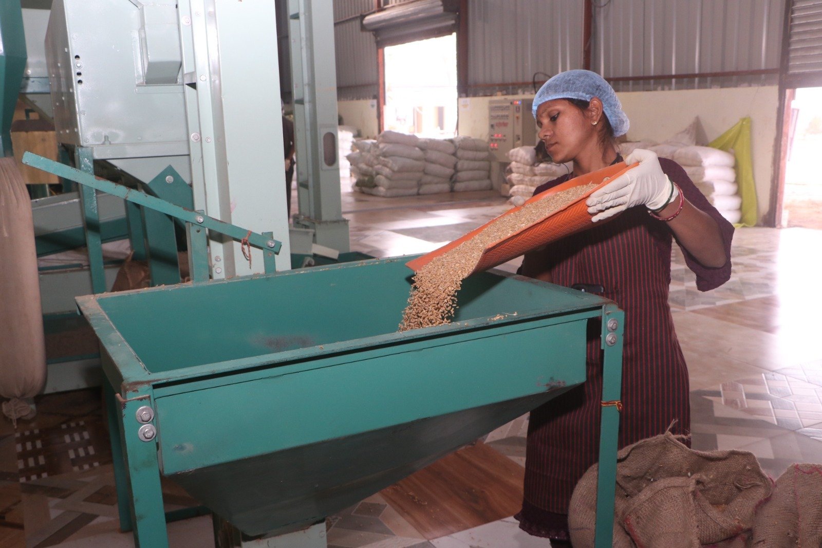 Image after paragraph