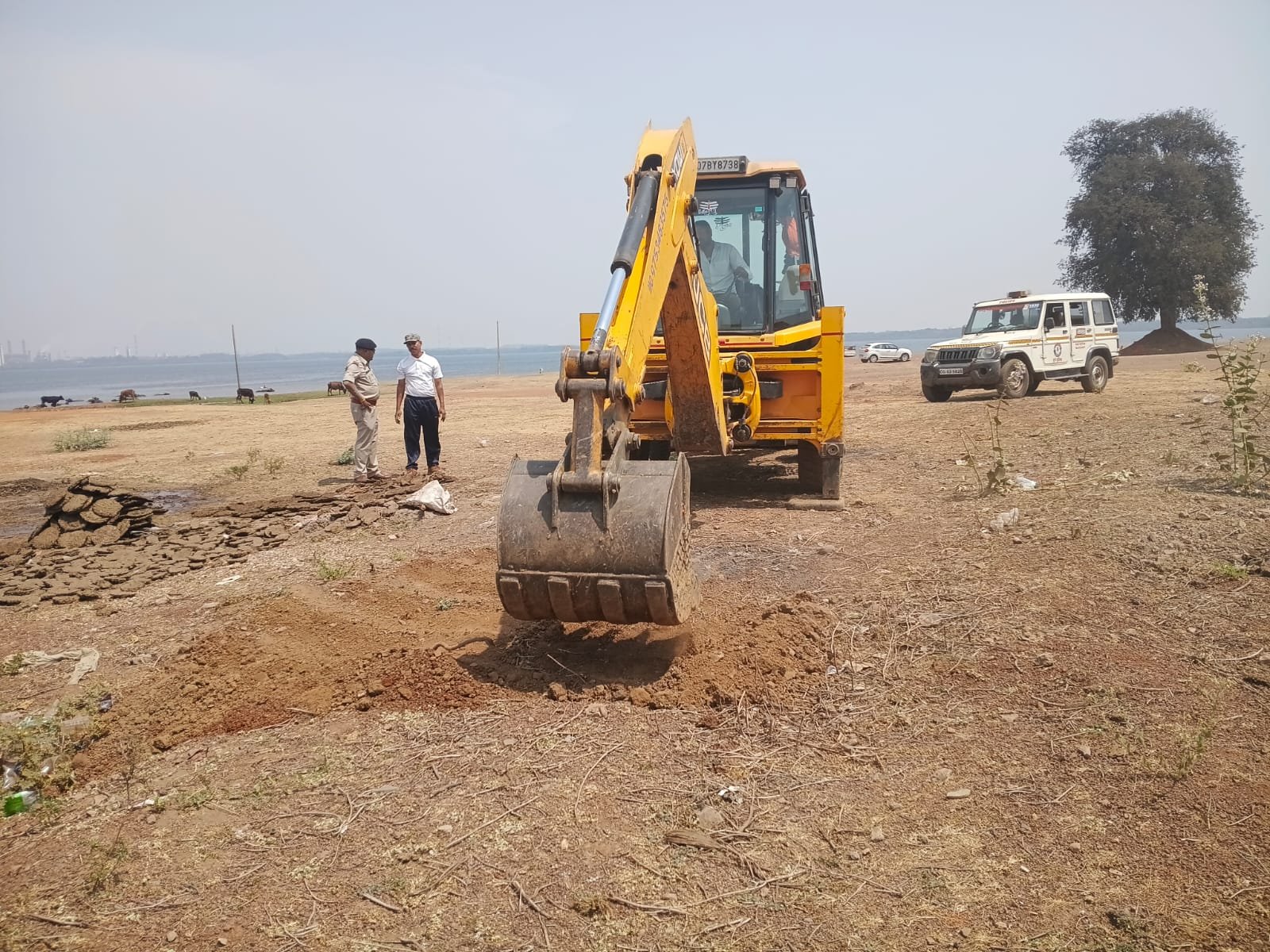 Image after paragraph