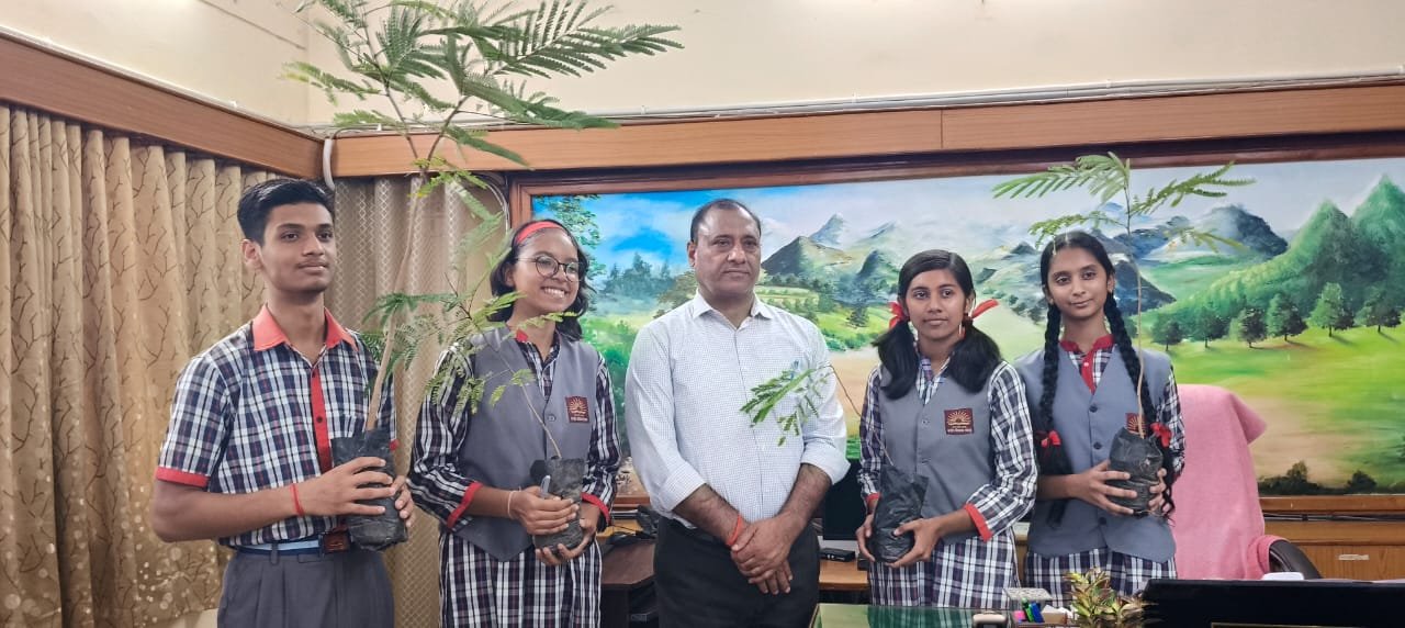 Image after paragraph