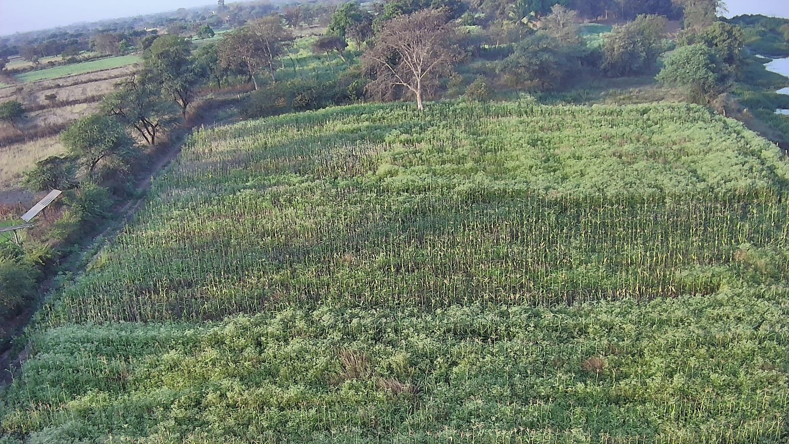 Image after paragraph