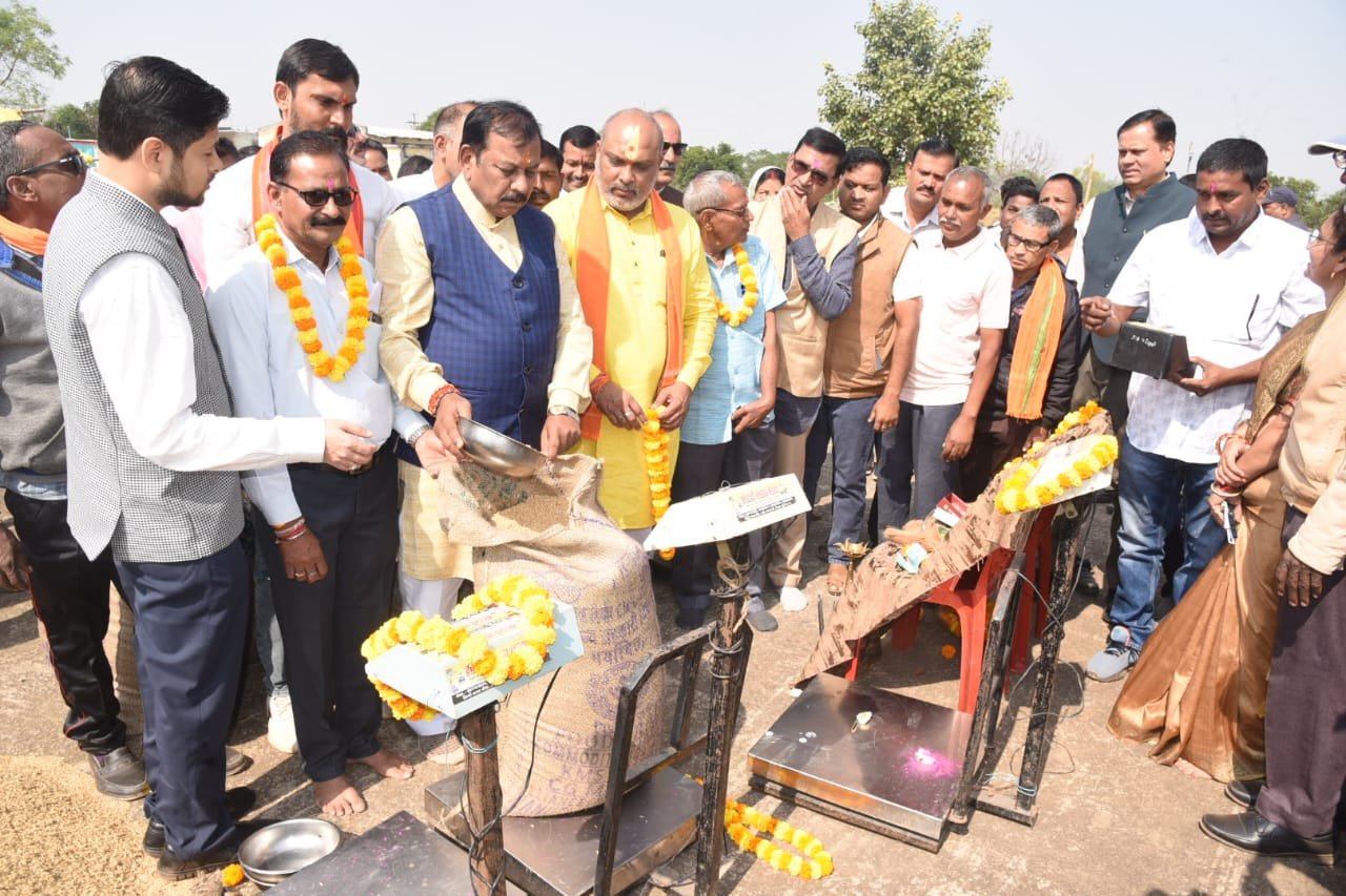 Image after paragraph