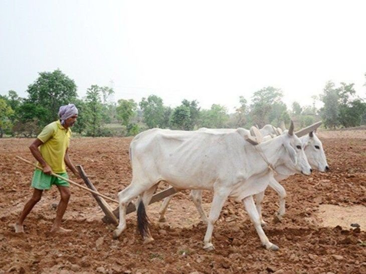 खण्ड एवम अल्प वर्षा की संभावनाओं के बीच किसानों से सरकार का अपील