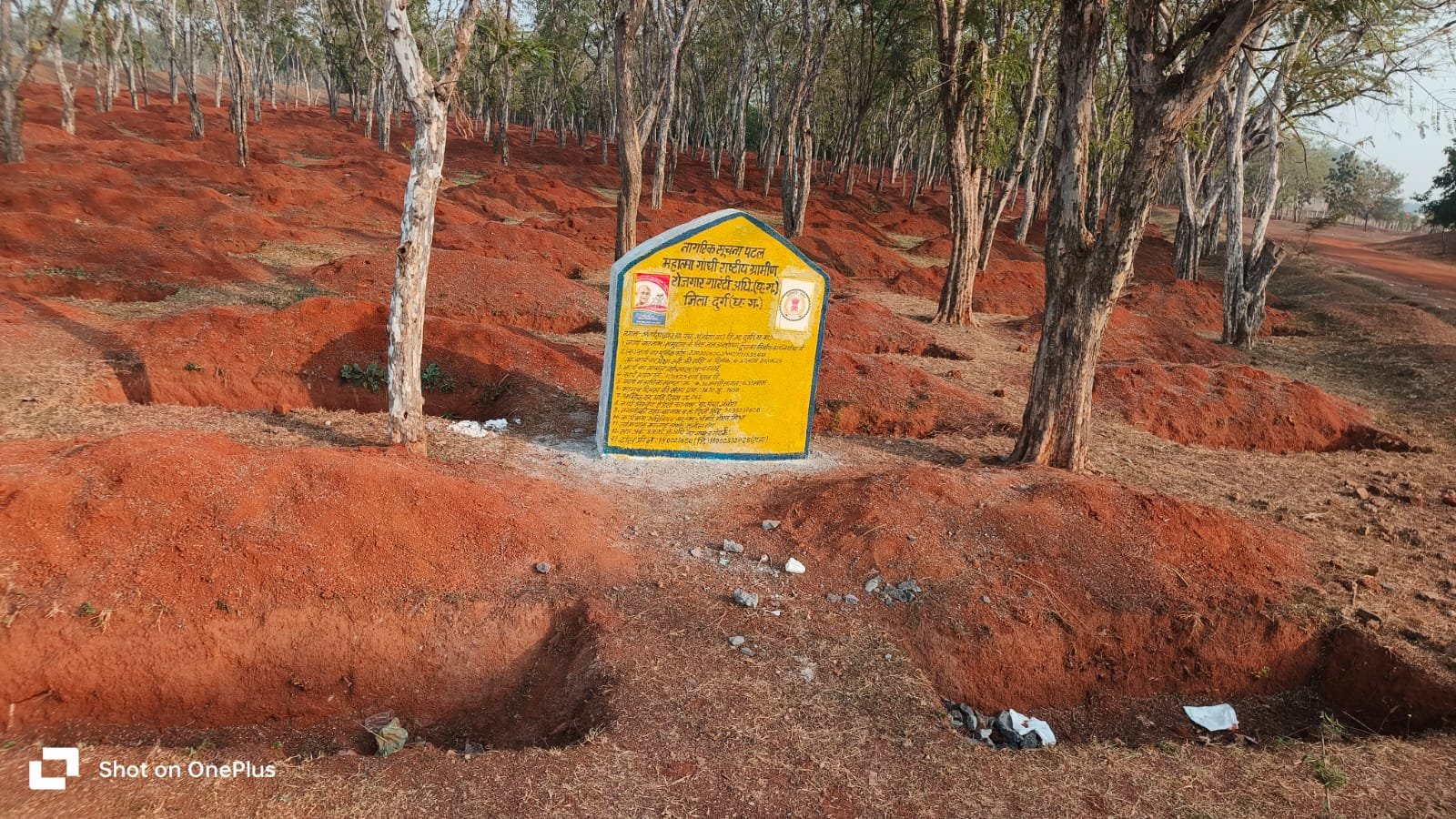 Image after paragraph