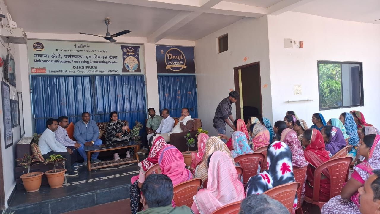 Image after paragraph