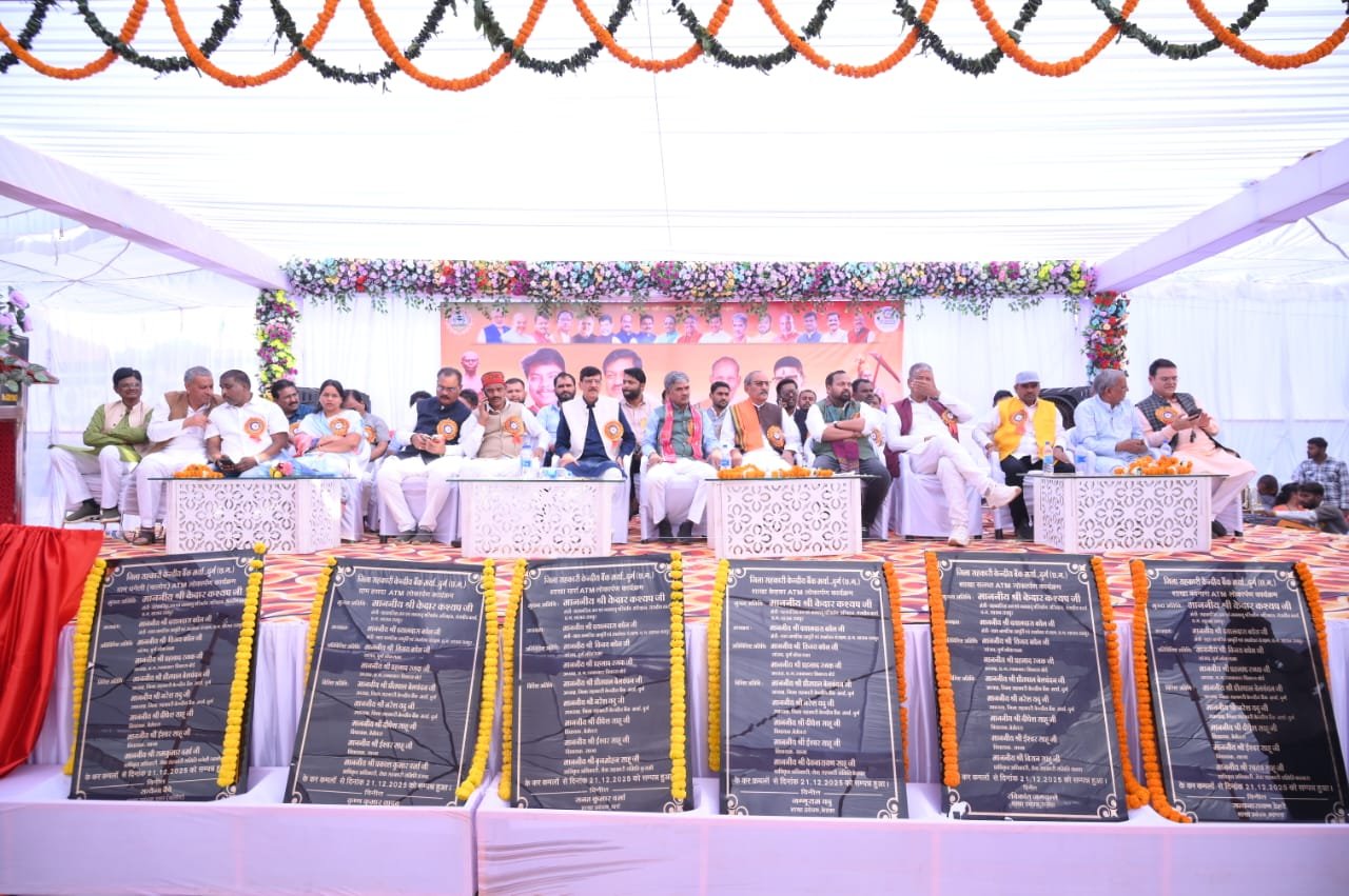 Image after paragraph