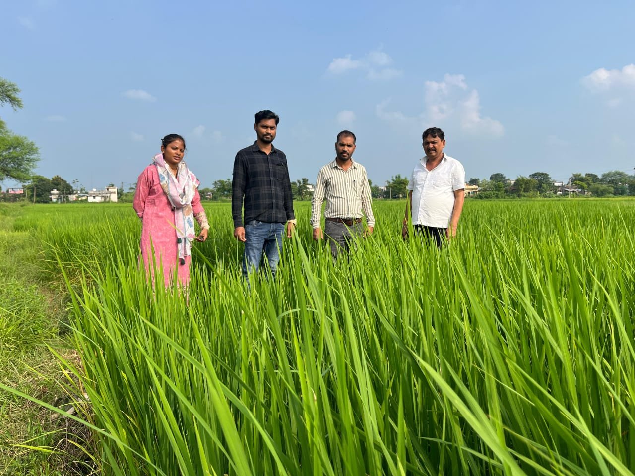 दहेगांव में कृषि अधिकारियों ने जीराशंकर धान फसल का निरीक्षण