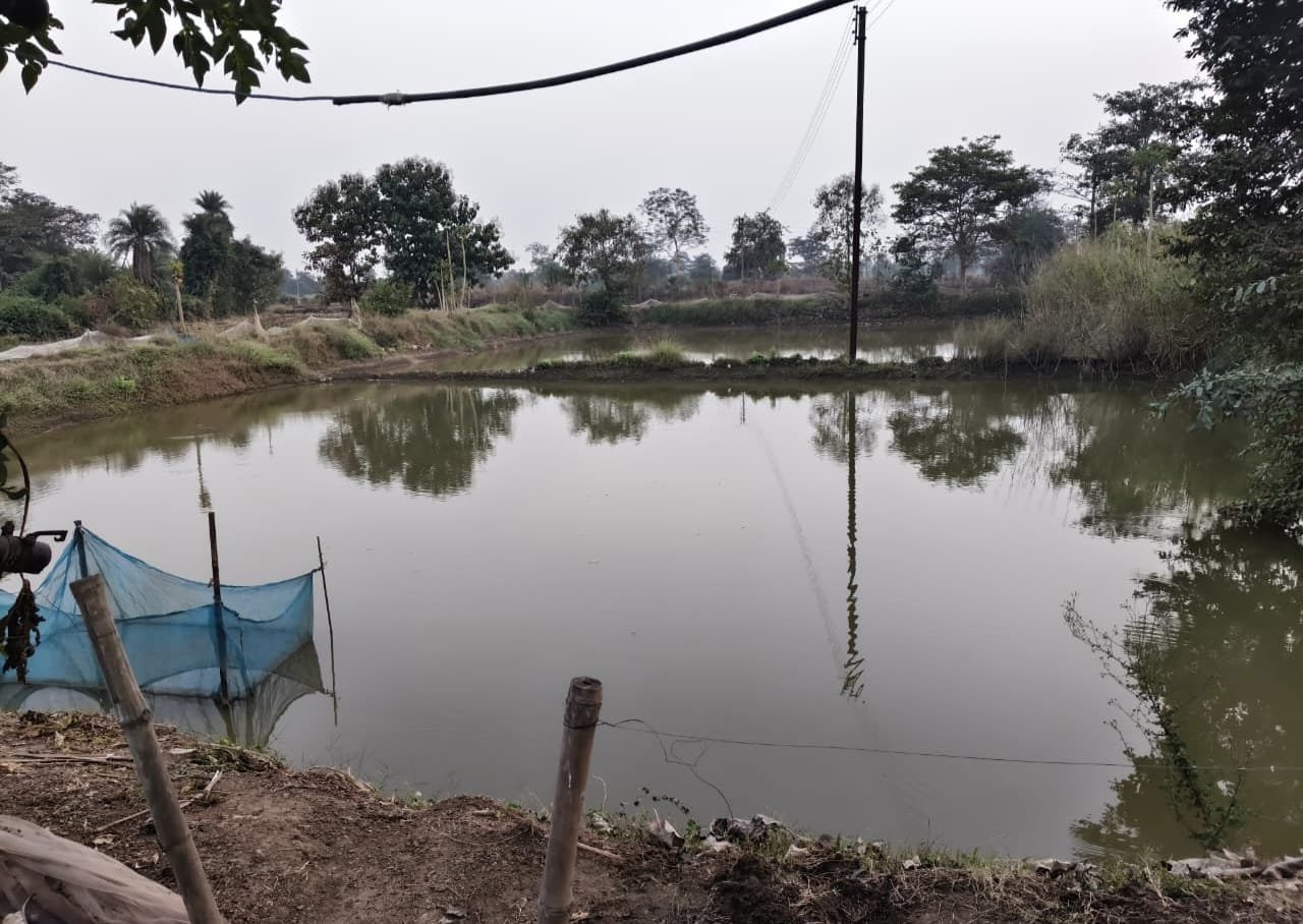 Image after paragraph