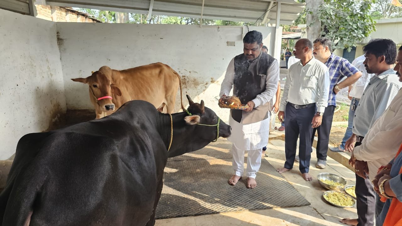 Image after paragraph