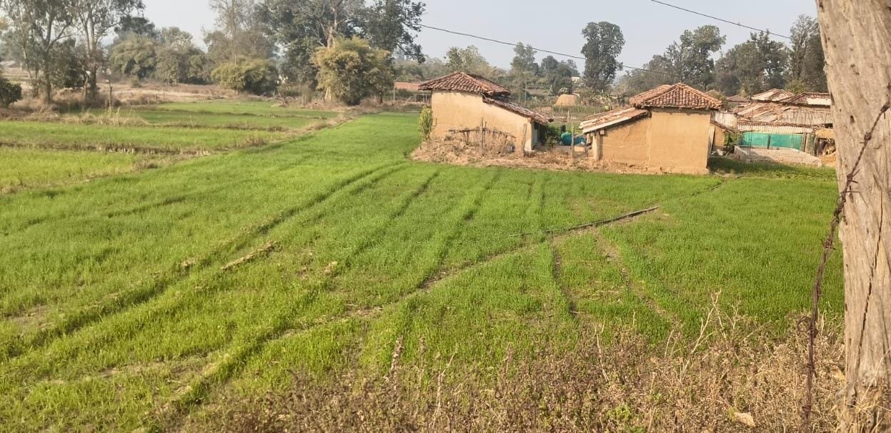 Image after paragraph