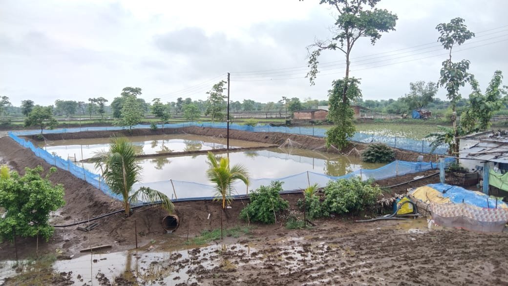 जिले में 54 आजीविका डबरी निर्माण से मिलेगा रोजगार, बढ़ेगी ग्रामीण आय