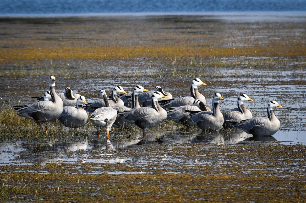 Image after paragraph