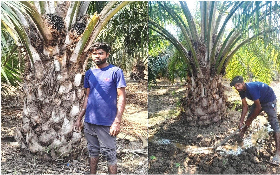 Image after paragraph