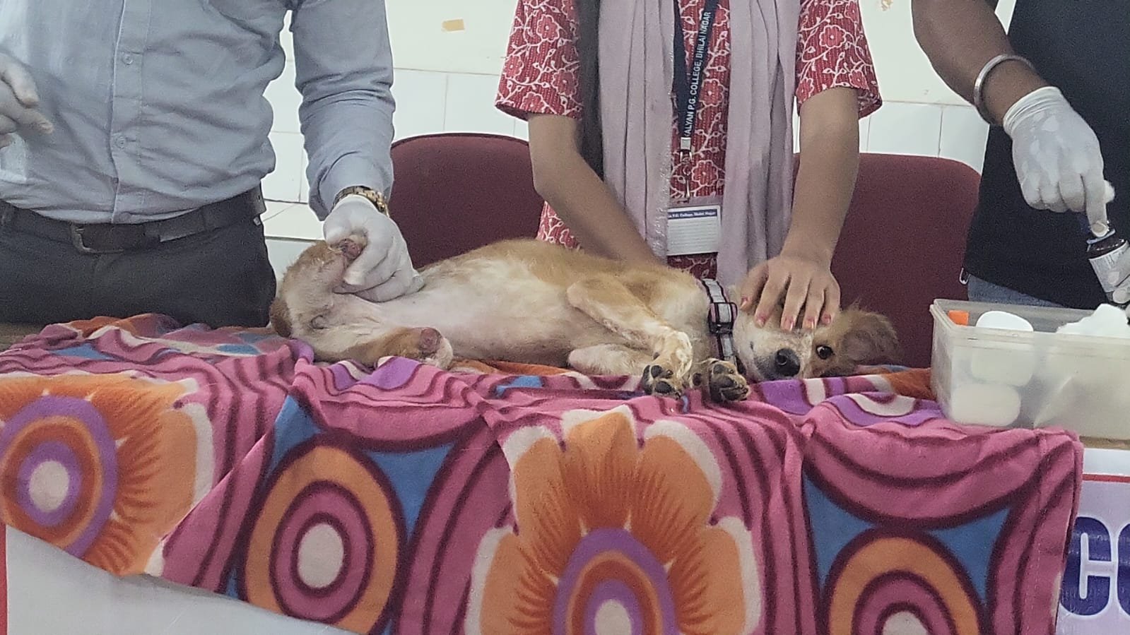 Image after paragraph