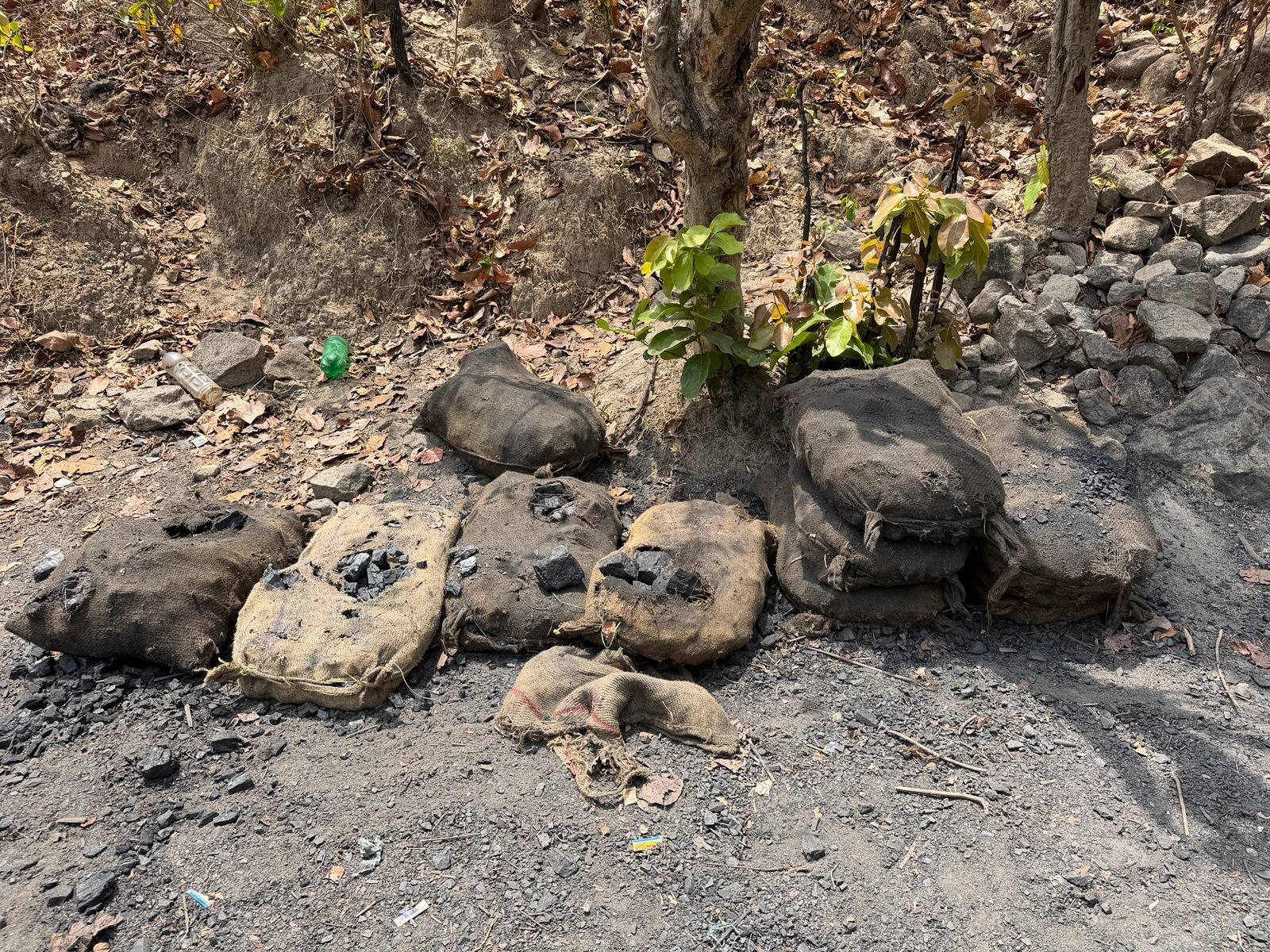 Image after paragraph