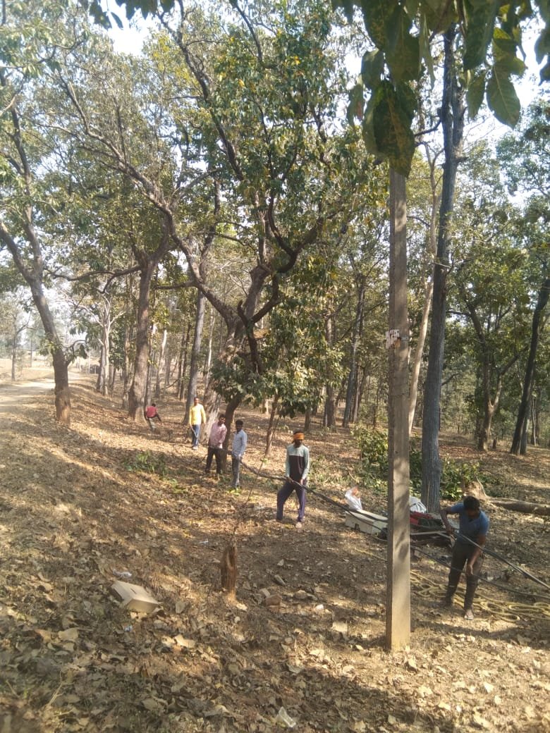 Image after paragraph