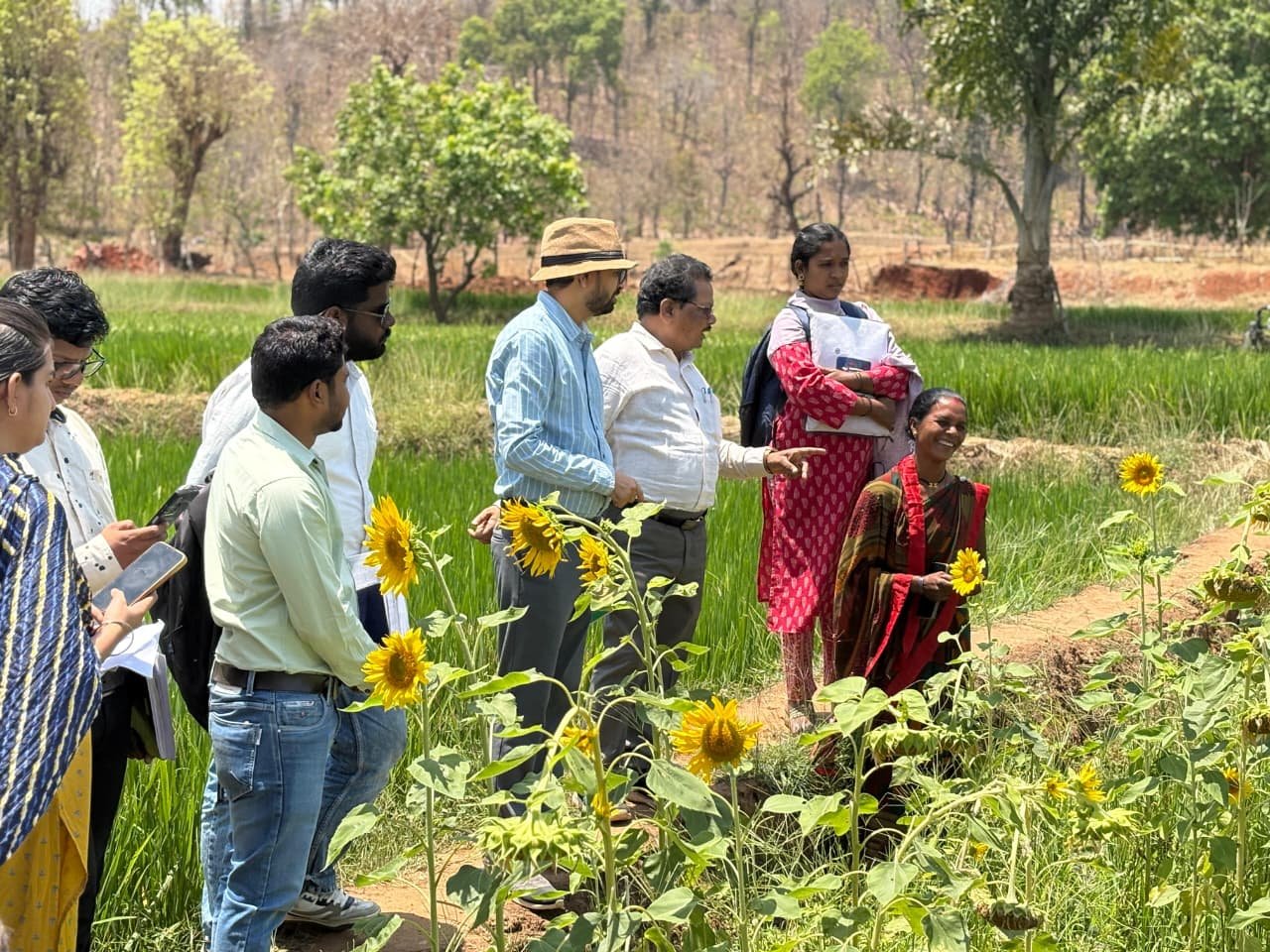 Image after paragraph