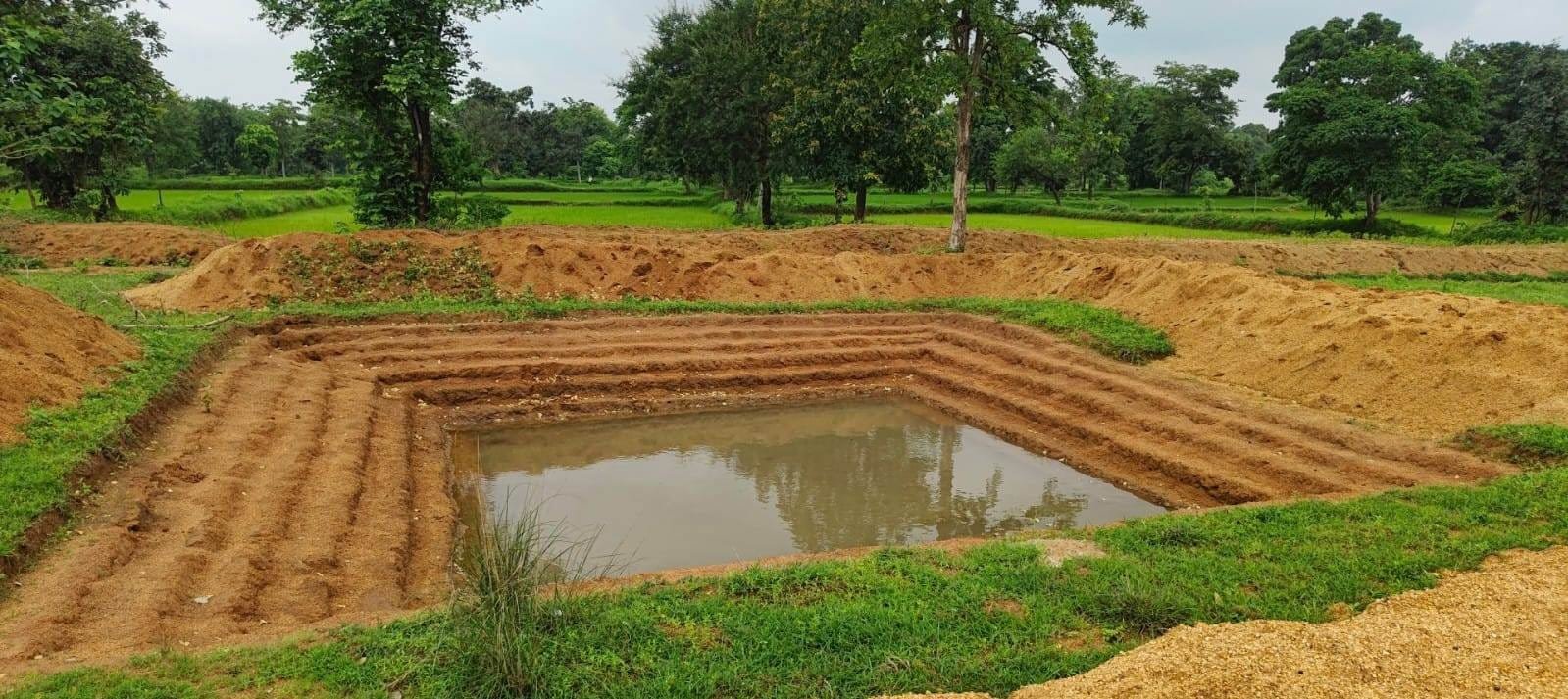 Image after paragraph