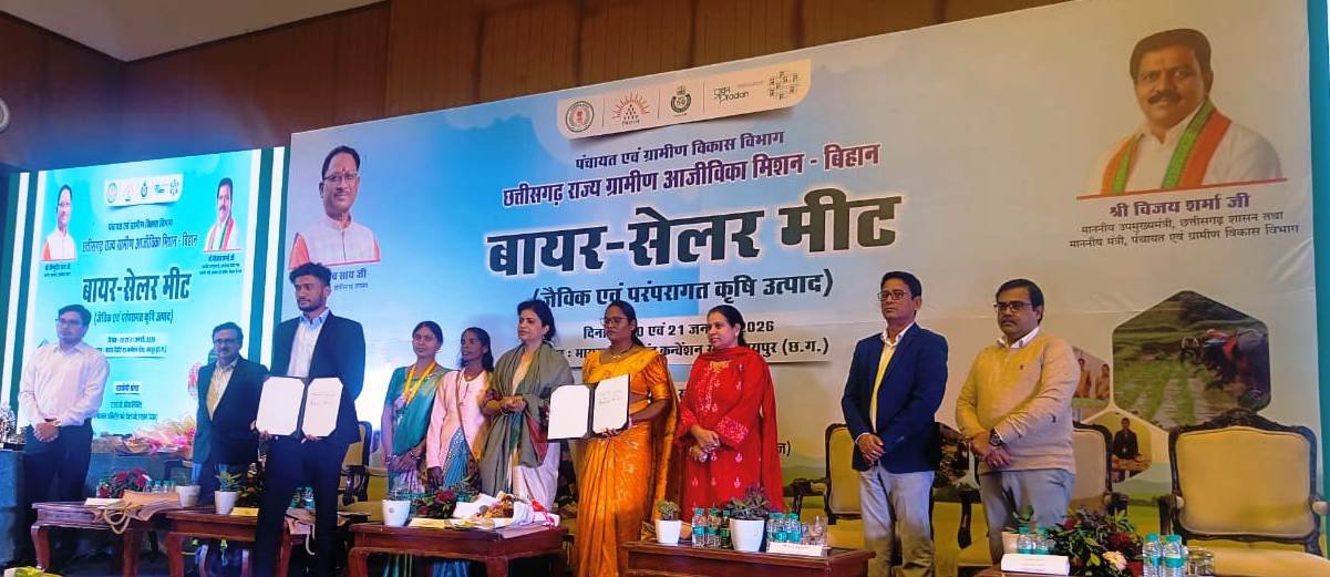 Image after paragraph