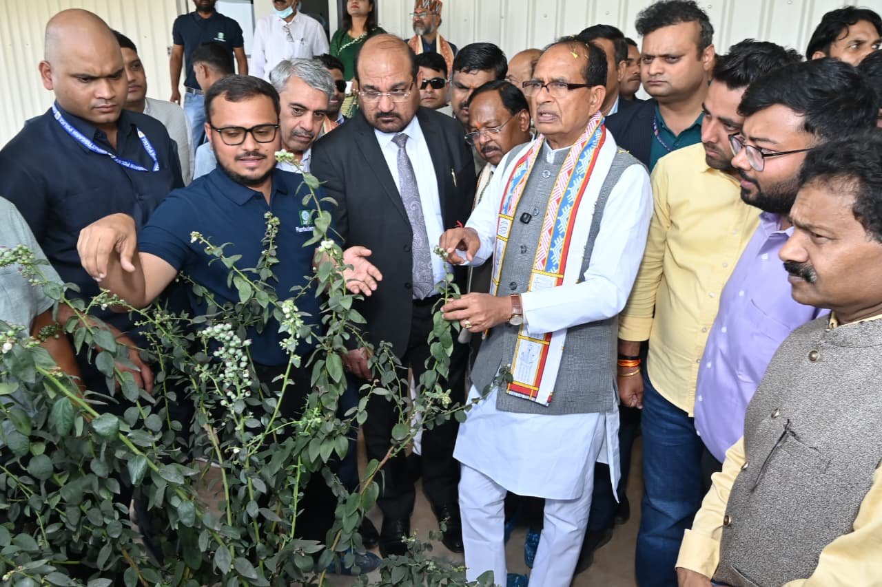 Image after paragraph