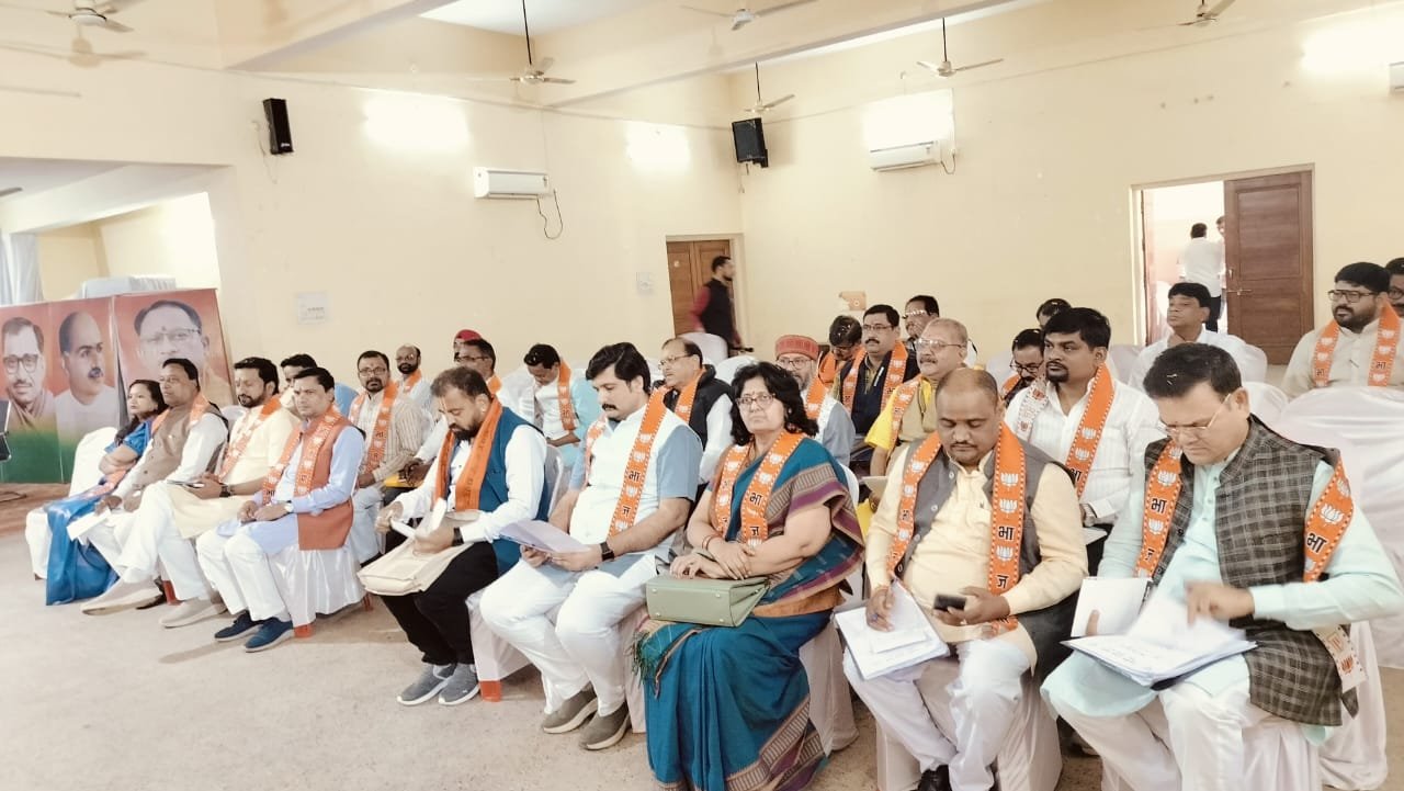 Image after paragraph