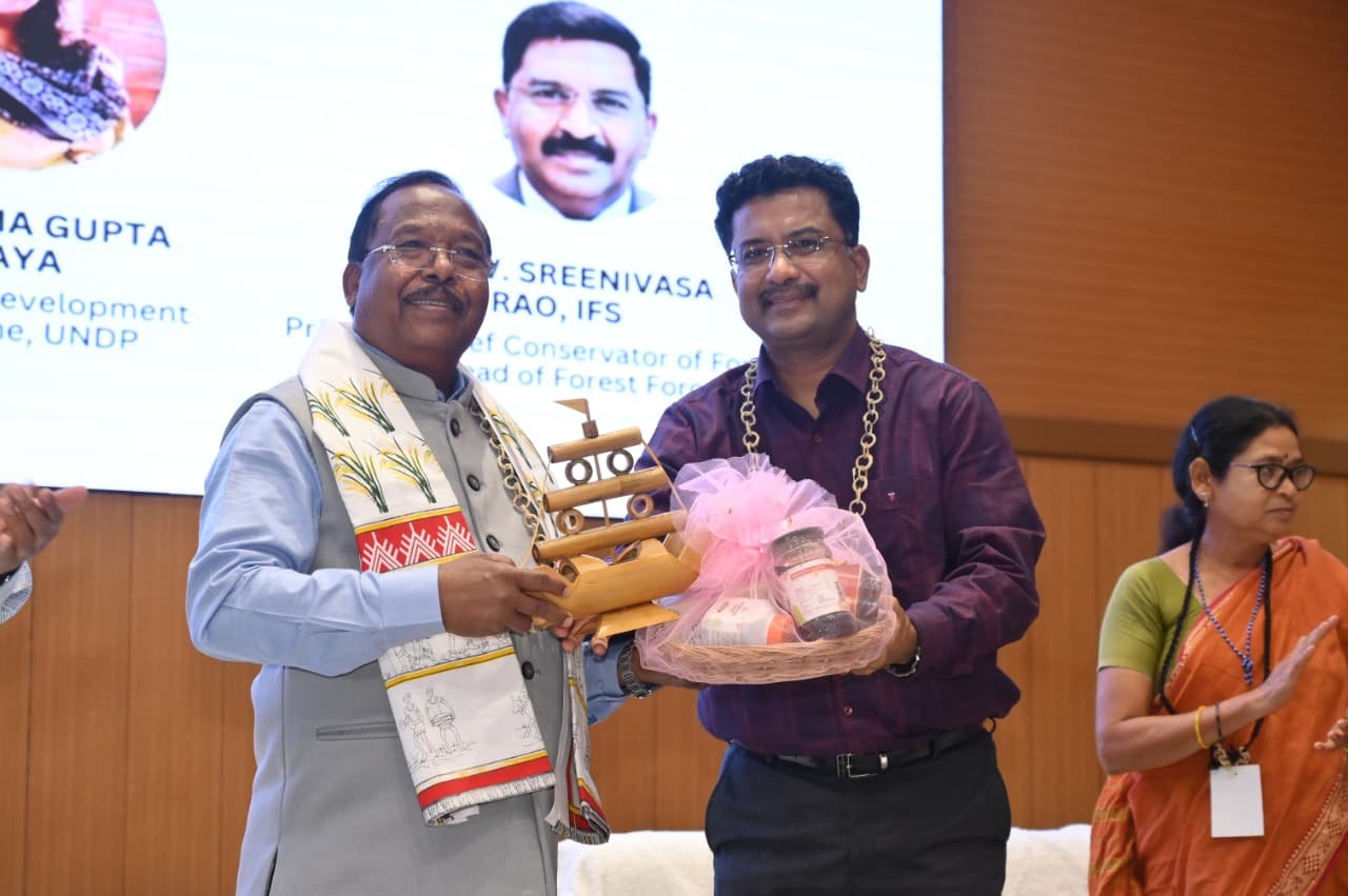 Image after paragraph