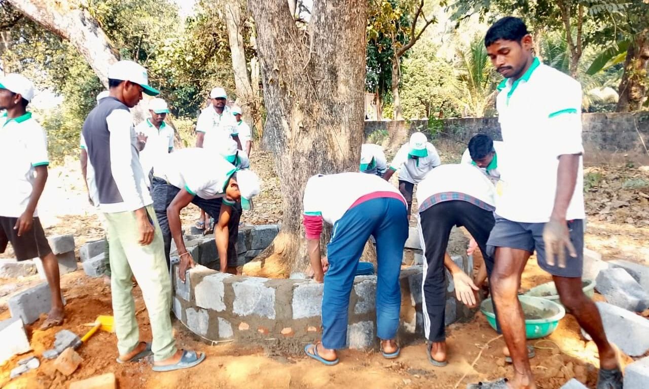 Image after paragraph