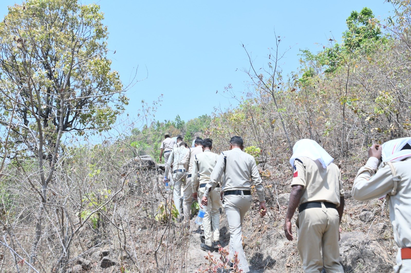 Image after paragraph