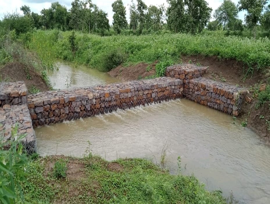 Image after paragraph