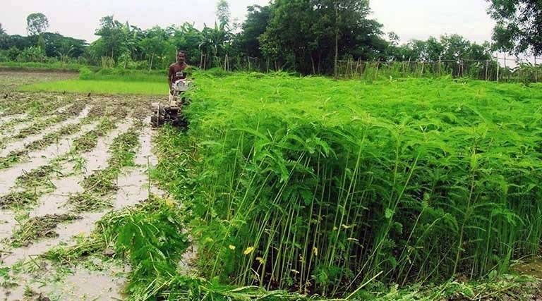 Image after paragraph