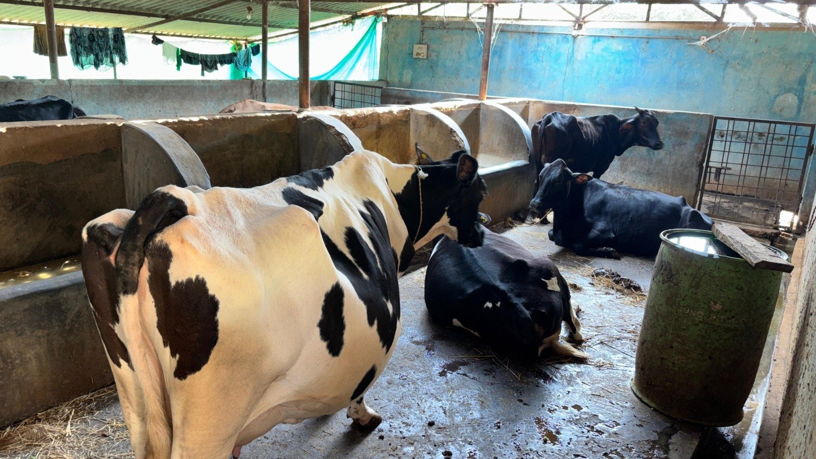 Image after paragraph