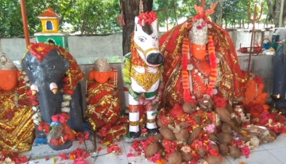 Image after paragraph