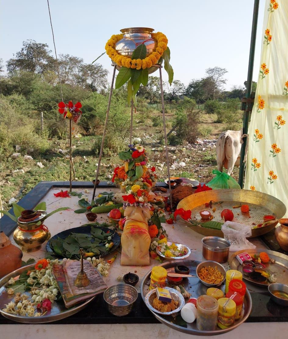 Image after paragraph