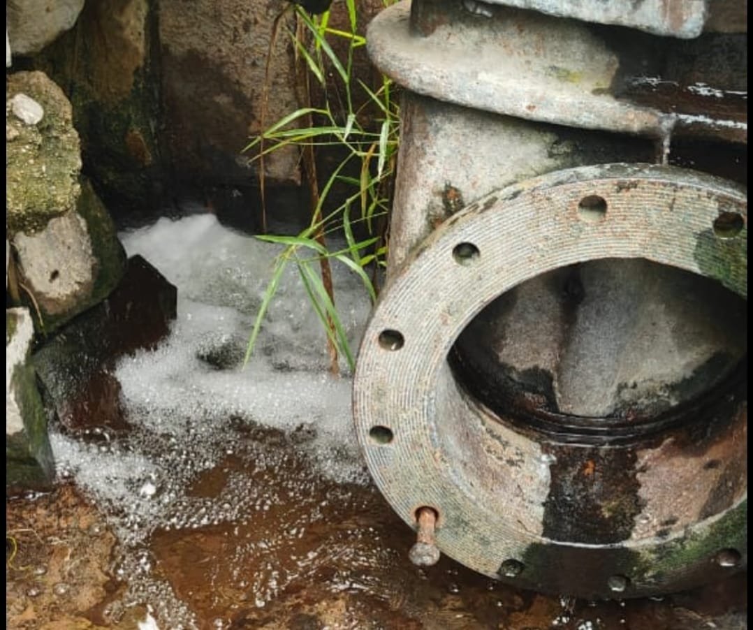 Image after paragraph