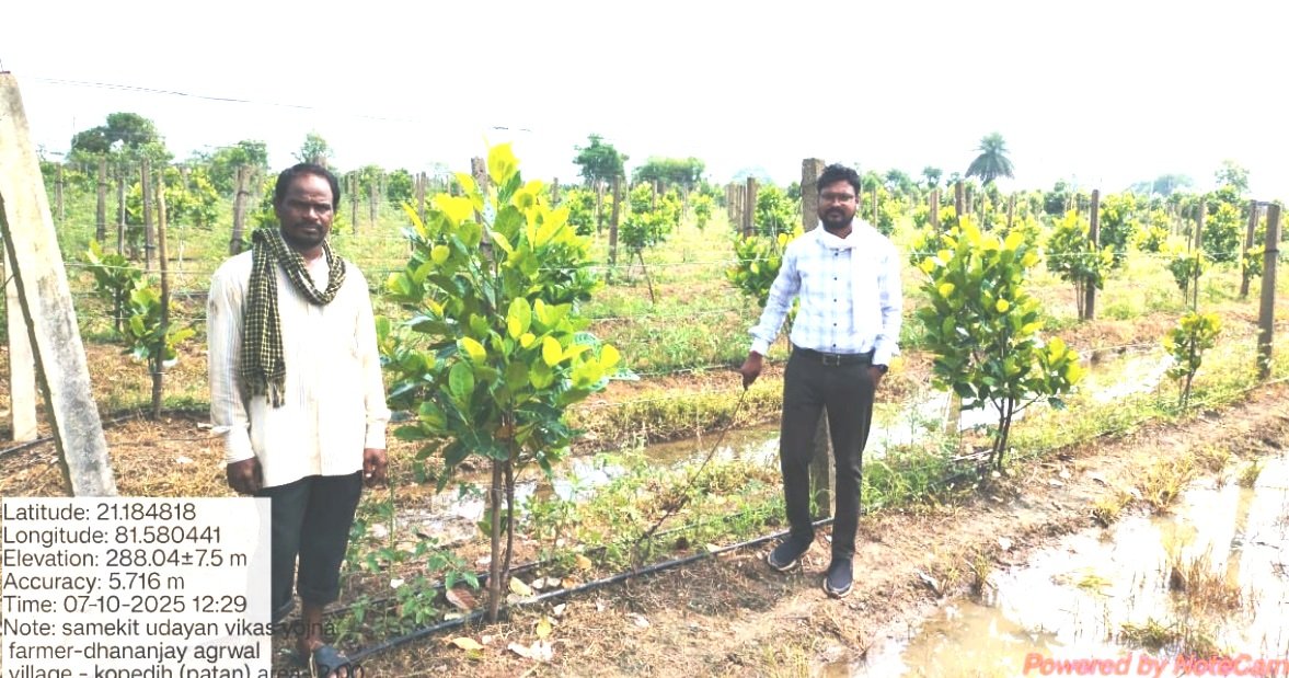 उद्यानिकी फसलों की पैदावारी से लाभान्वित हो रहे जिले के कृषक