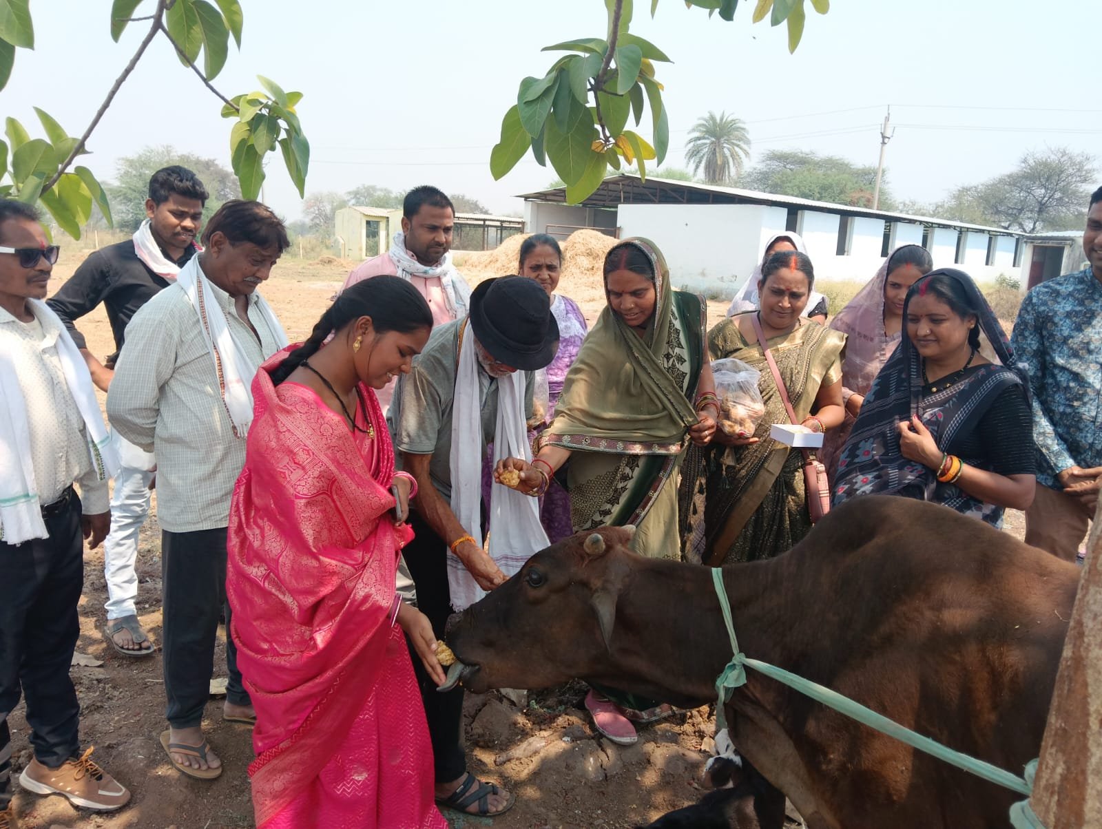 Image after paragraph