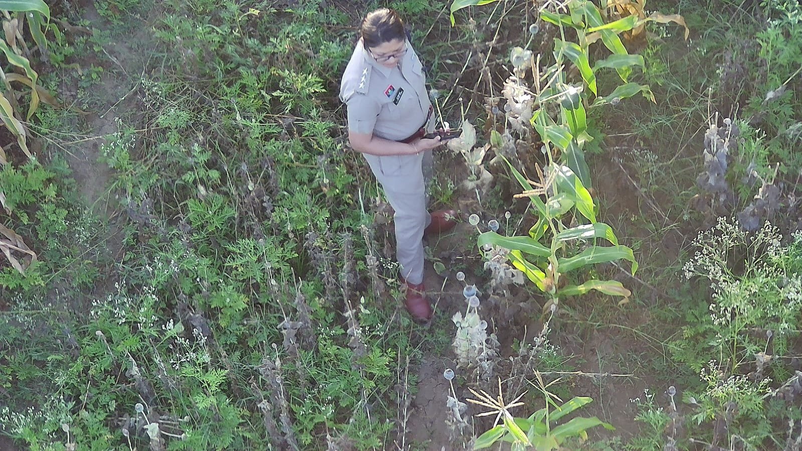 Image after paragraph