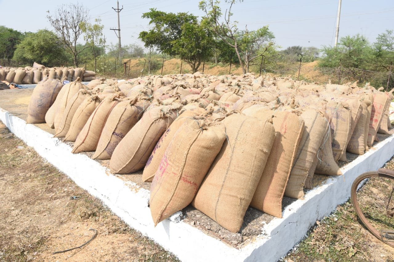 Image after paragraph