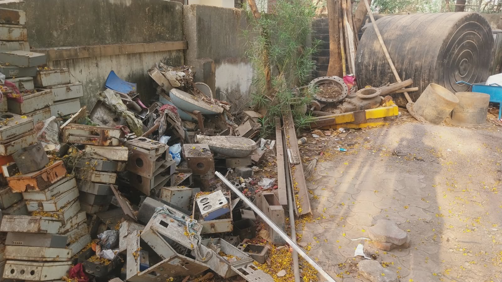 Image after paragraph