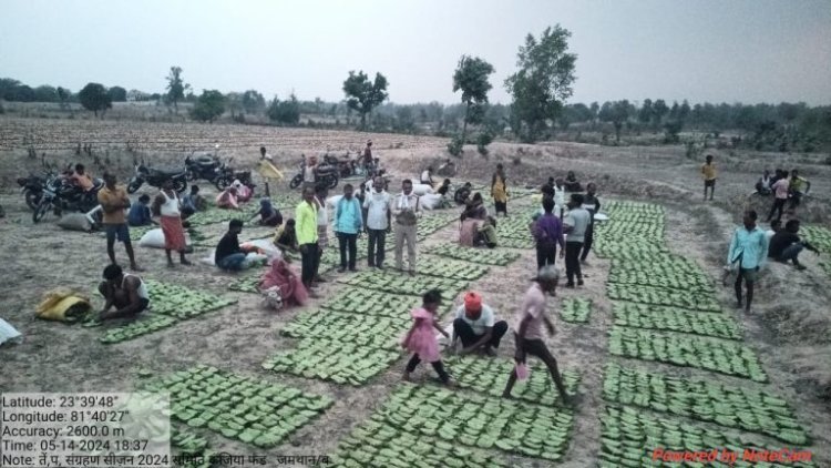 वन मण्डलाधिकारी मनीष कश्यप के प्रयासों से ख़राब मौसम के बावजूद लक्ष्य से अधिक तेन्दूपत्ता का हुआ संग्रहण..