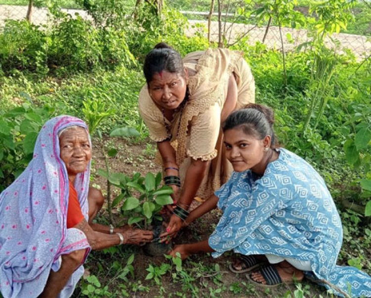 कामगार फाउंडेशन ने चलाया वृक्षारोपण अभियान..