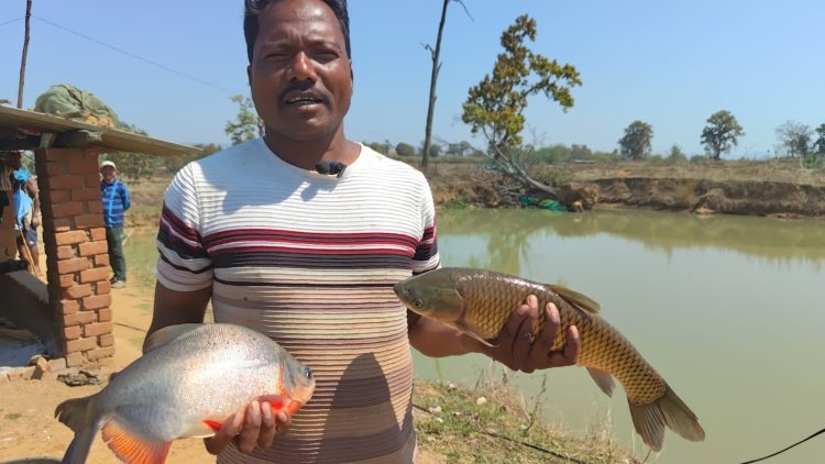 मछली पालन से समृद्ध हो  रहे किसान