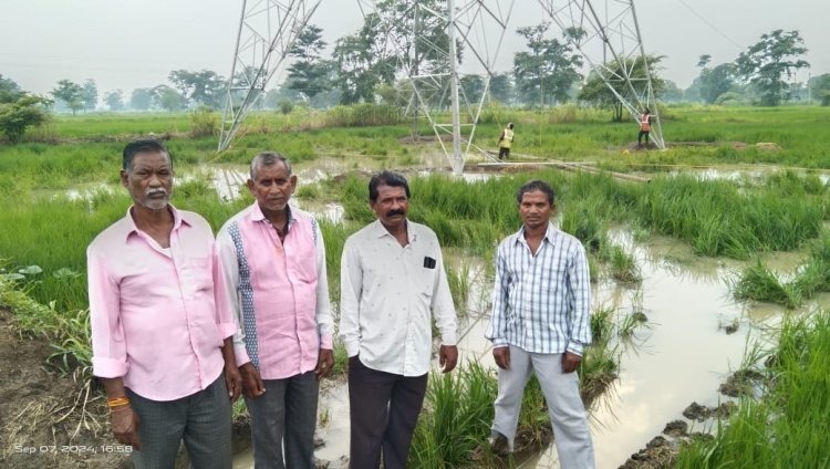 विद्युत शक्ति संचरण के नाम पर किसानों के खड़ी फसलों को रौंद रहे हैं..